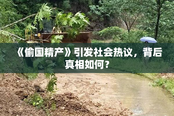 《偷国精产》引发社会热议，背后真相如何？