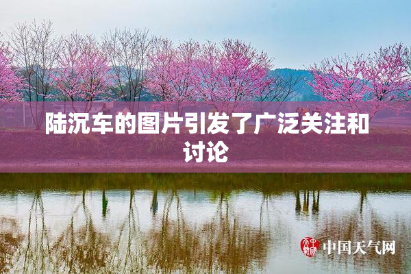 陆沉车的图片引发了广泛关注和讨论
