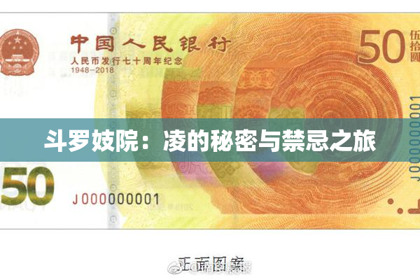 斗罗妓院：凌的秘密与禁忌之旅