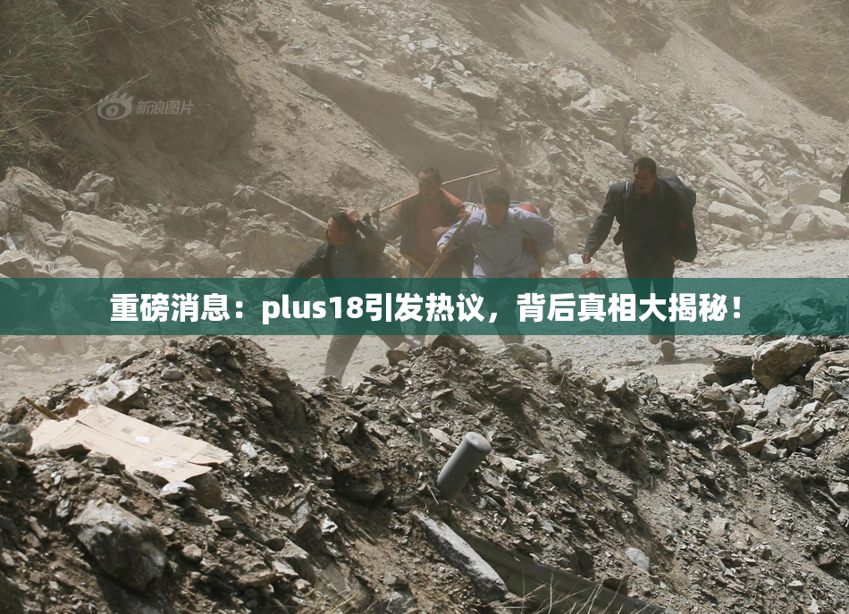 重磅消息：plus18引发热议，背后真相大揭秘！