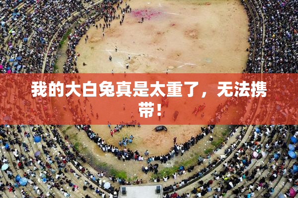 我的大白兔真是太重了，无法携带！
