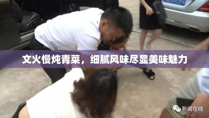 文火慢炖青菜，细腻风味尽显美味魅力