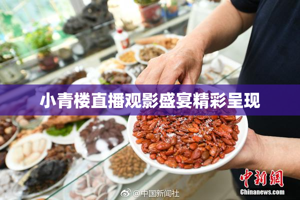 小青楼直播观影盛宴精彩呈现
