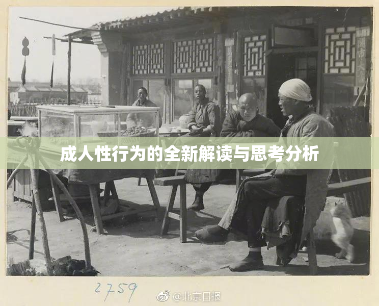 成人性行为的全新解读与思考分析