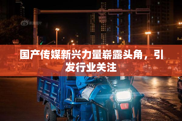国产传媒新兴力量崭露头角，引发行业关注