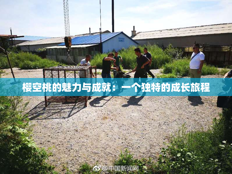 樱空桃的魅力与成就：一个独特的成长旅程