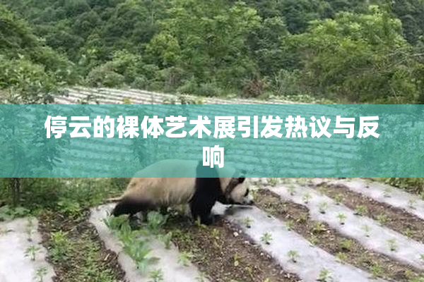 停云的裸体艺术展引发热议与反响