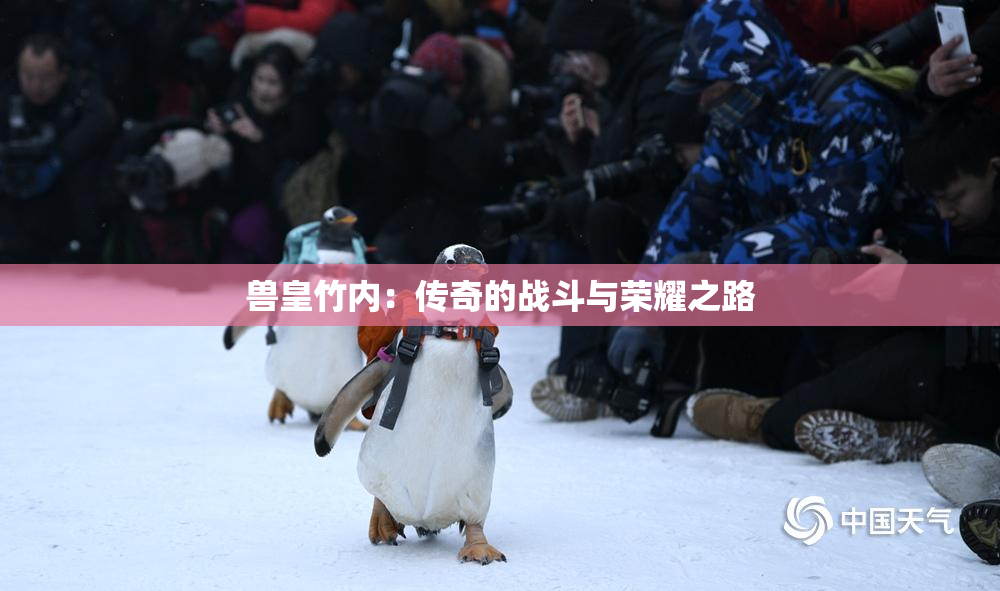 兽皇竹内：传奇的战斗与荣耀之路