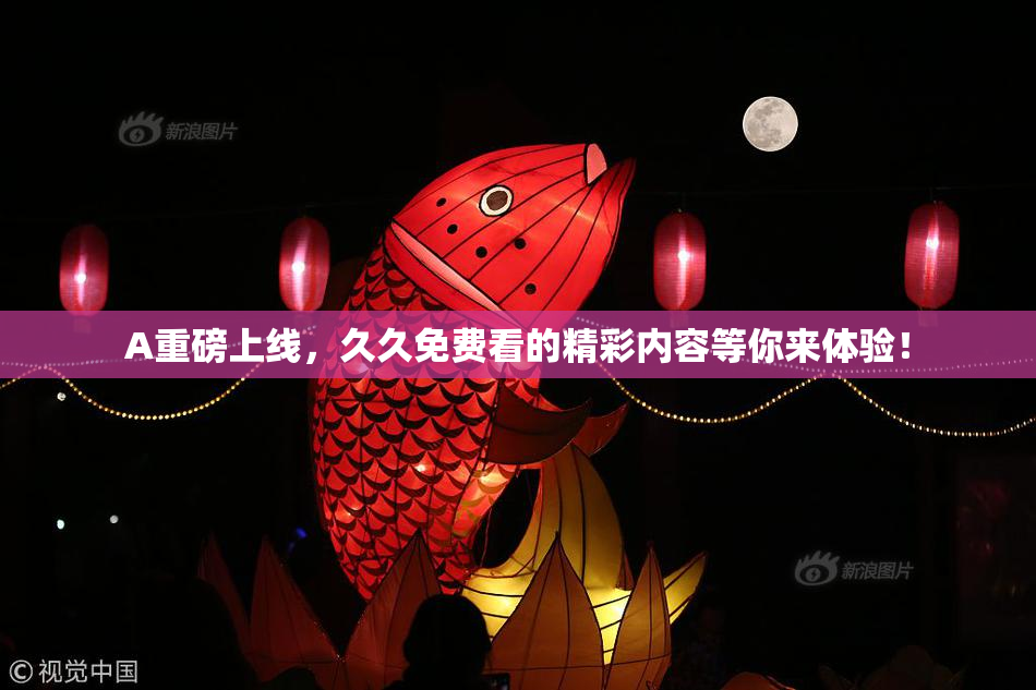 A重磅上线，久久免费看的精彩内容等你来体验！