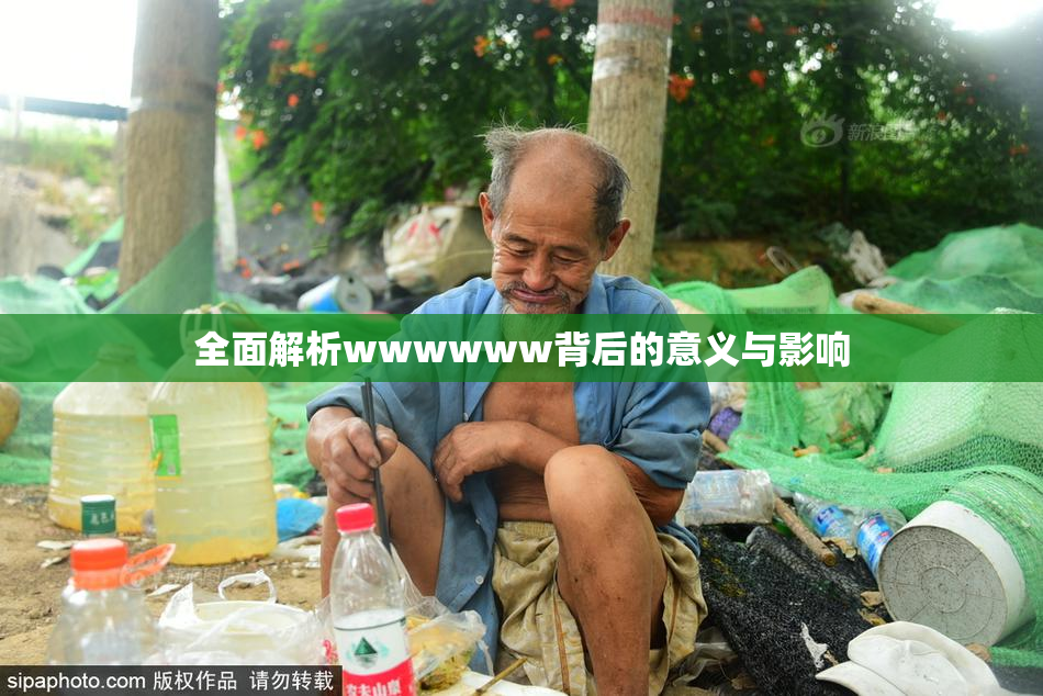 全面解析wwwwww背后的意义与影响