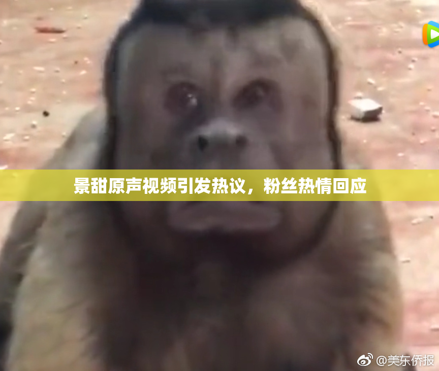 景甜原声视频引发热议，粉丝热情回应