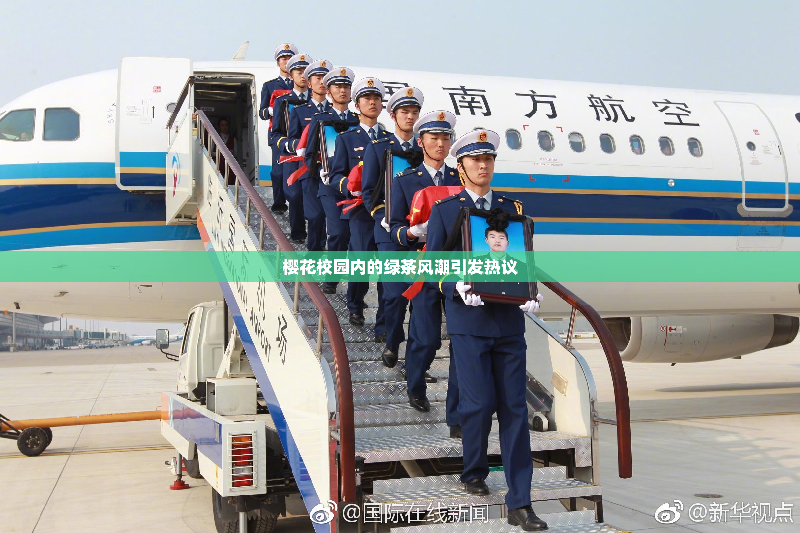 樱花校园内的绿茶风潮引发热议