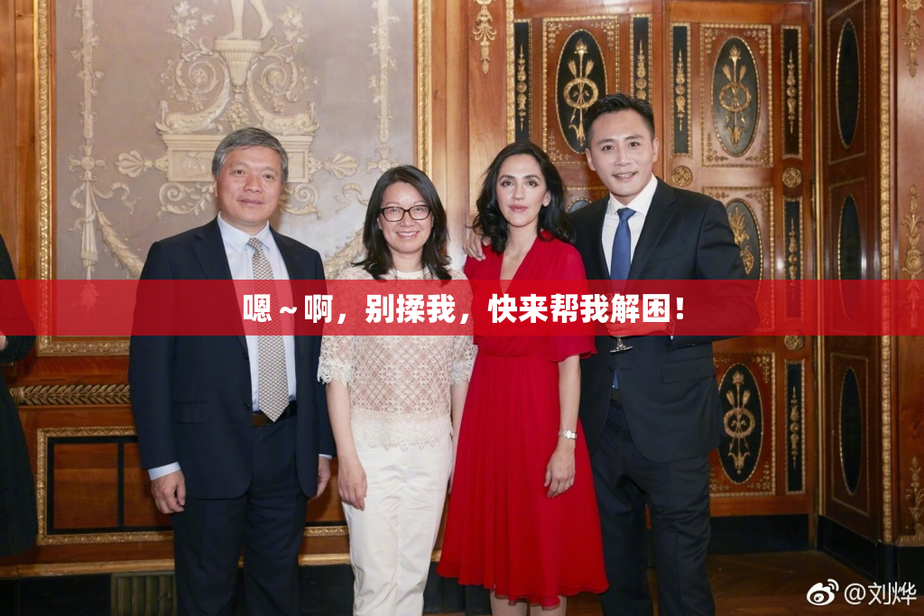嗯～啊，别揉我，快来帮我解困！
