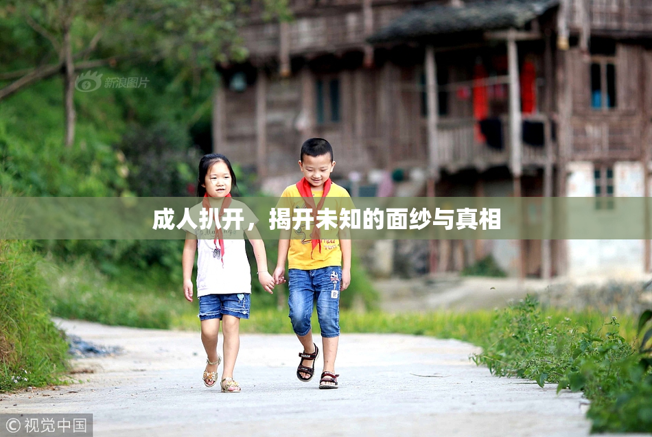 成人扒开，揭开未知的面纱与真相