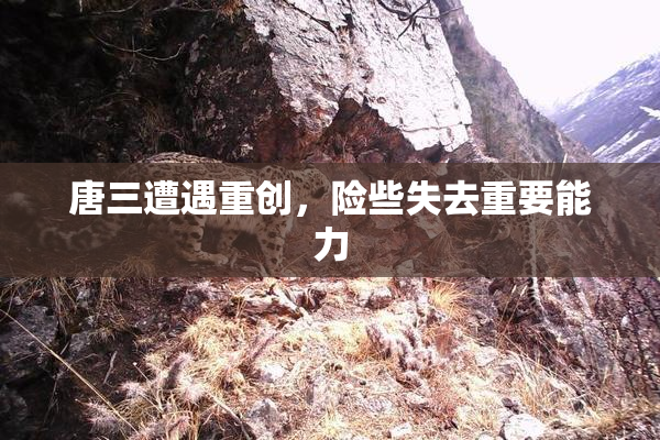 唐三遭遇重创，险些失去重要能力