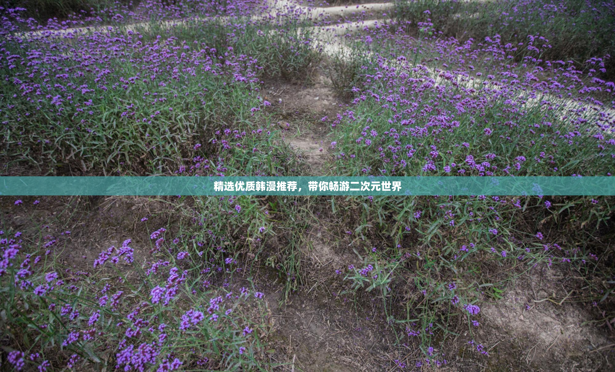 精选优质韩漫推荐，带你畅游二次元世界