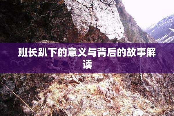 班长趴下的意义与背后的故事解读