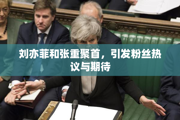刘亦菲和张重聚首，引发粉丝热议与期待