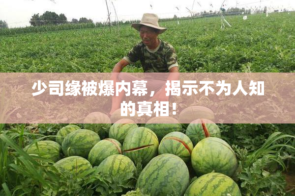 少司缘被爆内幕，揭示不为人知的真相！