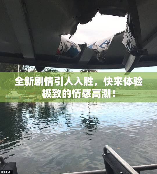 全新剧情引人入胜，快来体验极致的情感高潮！