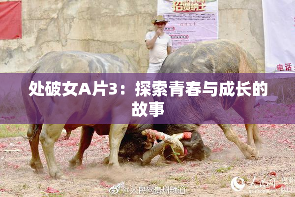 处破女A片3：探索青春与成长的故事