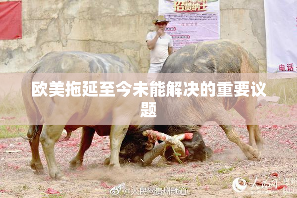 欧美拖延至今未能解决的重要议题