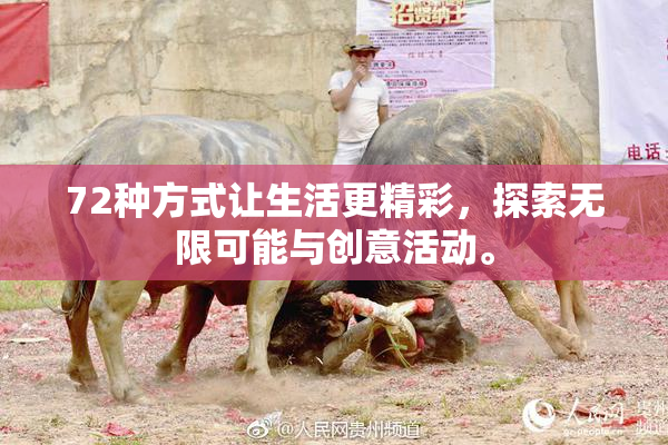 72种方式让生活更精彩，探索无限可能与创意活动。