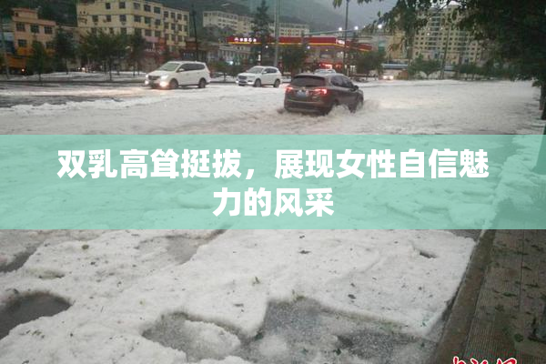 双乳高耸挺拔，展现女性自信魅力的风采