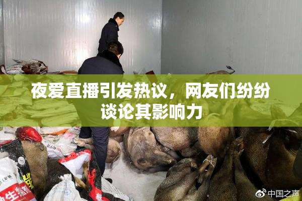 夜爱直播引发热议，网友们纷纷谈论其影响力