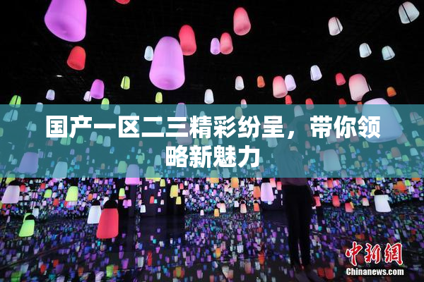 国产一区二三精彩纷呈，带你领略新魅力