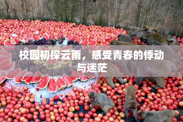 校园初探云雨，感受青春的悸动与迷茫