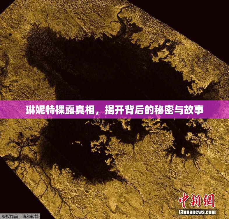 琳妮特裸露真相，揭开背后的秘密与故事