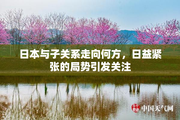 日本与子关系走向何方，日益紧张的局势引发关注
