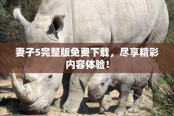 妻子5完整版免费下载，尽享精彩内容体验！