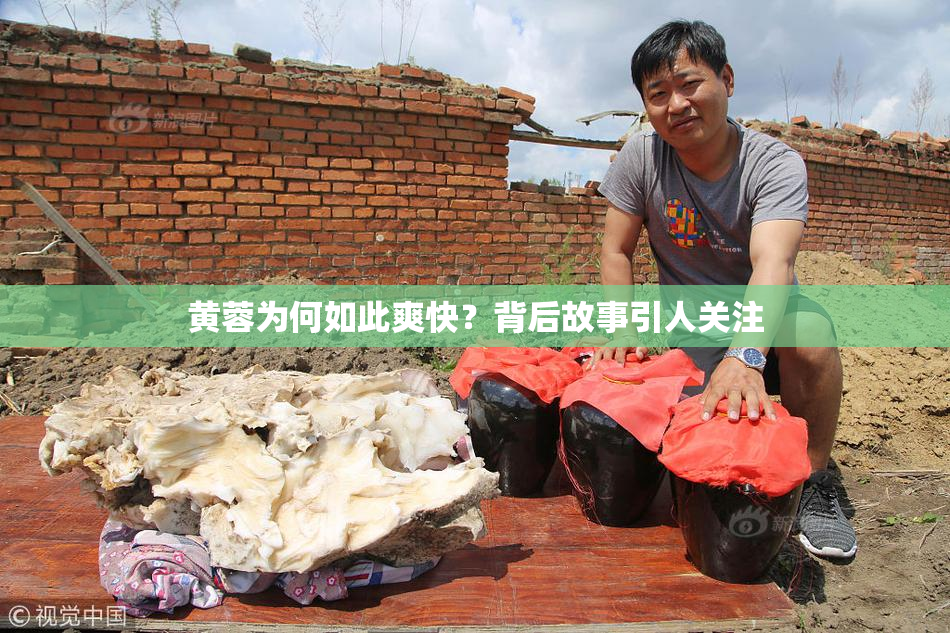 黄蓉为何如此爽快？背后故事引人关注