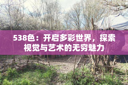 538色：开启多彩世界，探索视觉与艺术的无穷魅力