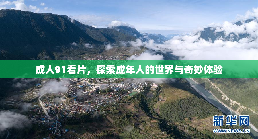 成人91看片，探索成年人的世界与奇妙体验