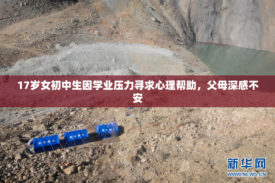 17岁女初中生因学业压力寻求心理帮助，父母深感不安