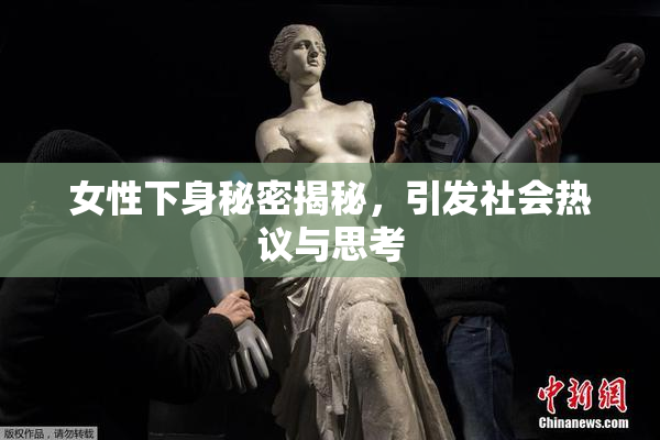 女性下身秘密揭秘，引发社会热议与思考