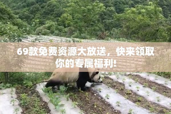 69款免费资源大放送，快来领取你的专属福利!