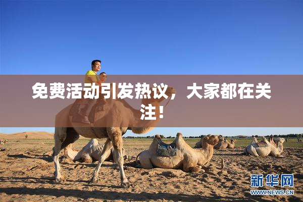 免费活动引发热议，大家都在关注！