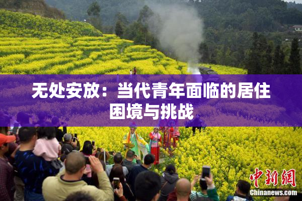 无处安放：当代青年面临的居住困境与挑战