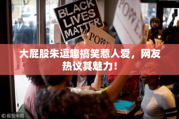大屁股朱逗趣搞笑惹人爱，网友热议其魅力！