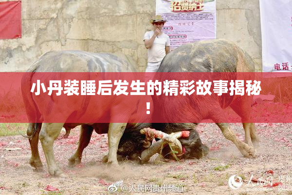 小丹装睡后发生的精彩故事揭秘！