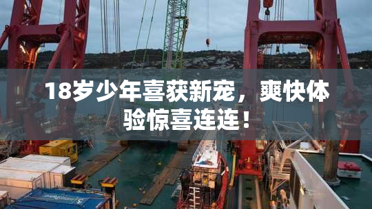 18岁少年喜获新宠，爽快体验惊喜连连！