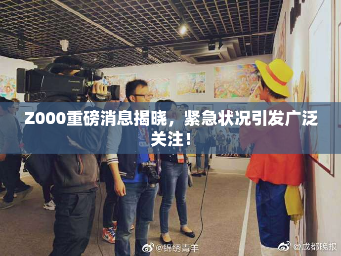 Z000重磅消息揭晓，紧急状况引发广泛关注！