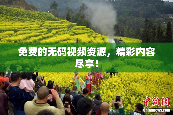 免费的无码视频资源，精彩内容尽享！