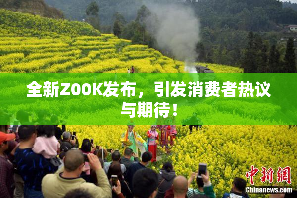 全新Z00K发布，引发消费者热议与期待！