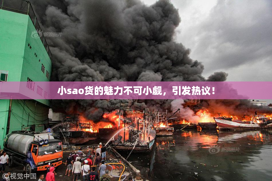 小sao货的魅力不可小觑，引发热议！