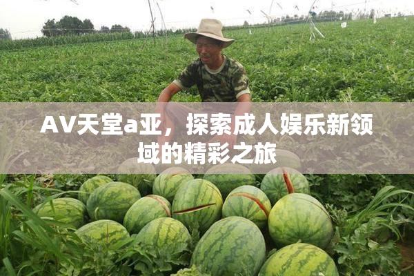 AV天堂a亚，探索成人娱乐新领域的精彩之旅